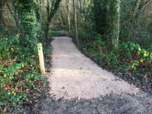 Path improvements carried out by MSDC