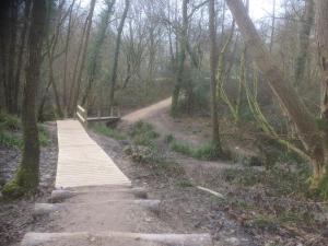 A new walkway to get over a boggy patch