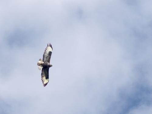 thumbnail_image4