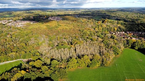 East-Court-Ashplats-LC-1